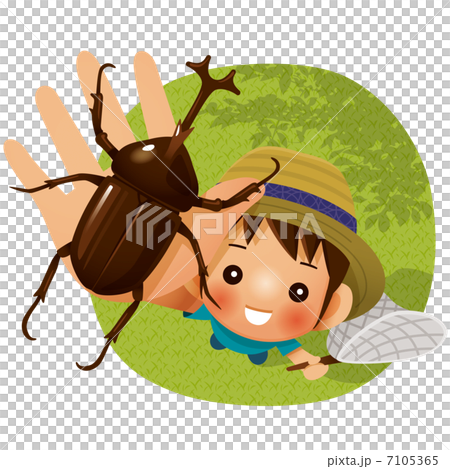 甲蟲和男孩 7105365