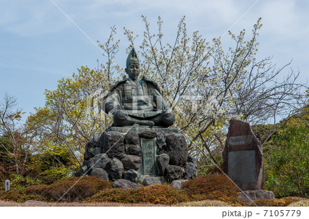 桜咲く源氏の山公園の源頼朝公銅像 7105779