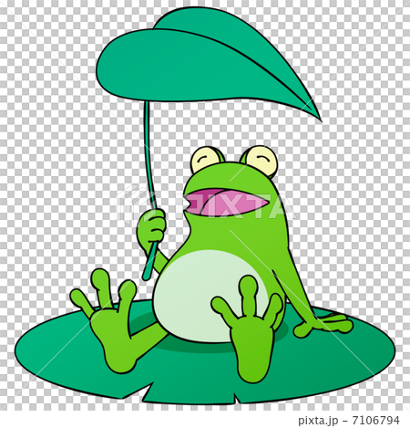 雨和青蛙 7106794