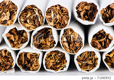 Close up of cigarettes tabacco Close up of cigarettes tabacco 7106952