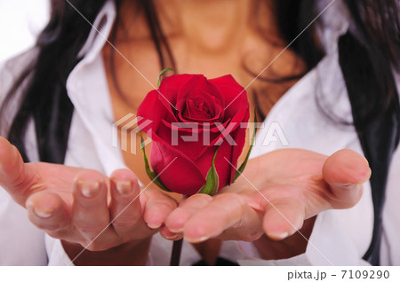 charming portrait of a young girl charming portrait of a young girl 7109290