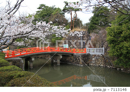 甲斐 武田神社 神橋と桜-古府中町にて 甲斐 武田神社 神橋と桜-古府中町にて 7113146