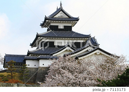 白河小峰城 三重櫓と桜-郭内にて 白河小峰城 三重櫓と桜-郭内にて 7113173