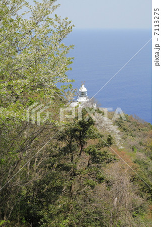 経ヶ岬 経ヶ岬 7113275