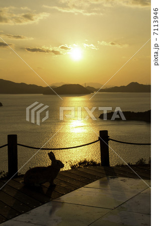 瀬戸内海の夕陽とウサギ 7113946