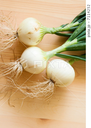 新タマネギ 7114252