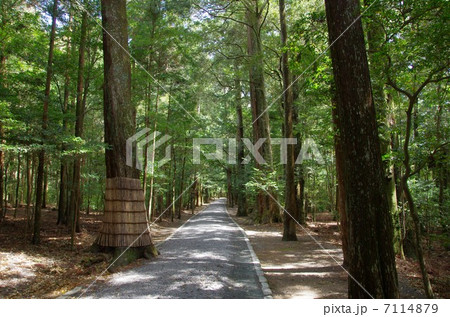 皇大神宮別宮　瀧原宮の参道 7114879
