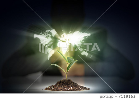 green plant on earth green plant on earth 7119163