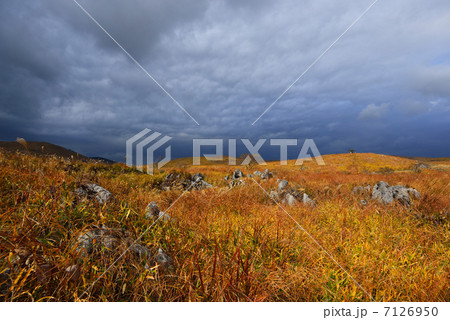 油絵の様な 油絵の様な 7126950