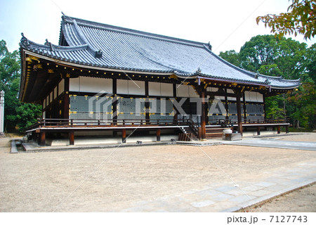 国宝･仁和寺の「金堂」（京都市右京区御室／京都府） 7127743