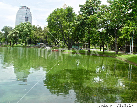 ルンピニー公園の人工池（バンコク／タイ王国） 7128517