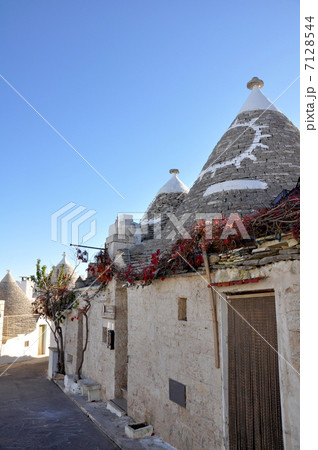 アルベロベッロ 7128544