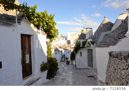 アルベロベッロ 7128556