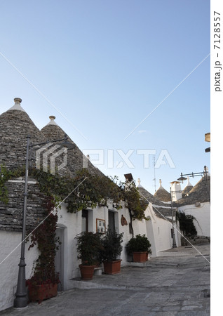 アルベロベッロ アルベロベッロ 7128557