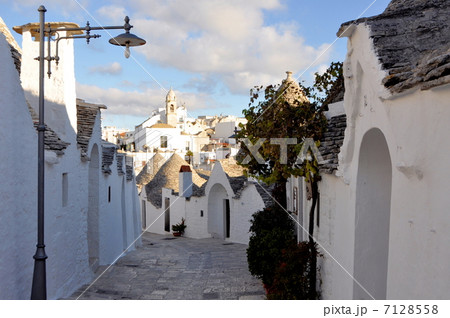 アルベロベッロ アルベロベッロ 7128558