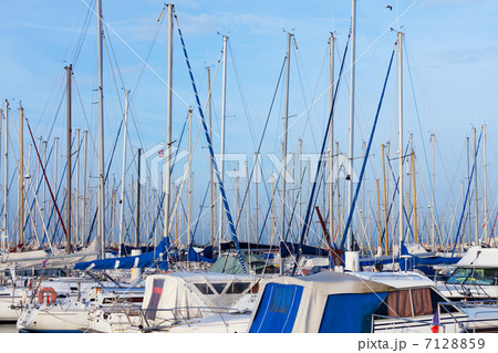 Yachts moored in a marina 7128859