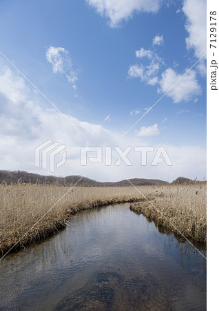 湿原(ウトナイ湖周辺) 湿原(ウトナイ湖周辺) 7129178