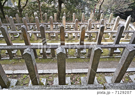 林立する志士たちの墓石(京都霊山護国神社/京都市東山区清閑寺霊山町) 林立する志士たちの墓石(京都霊山護国神社/京都市東山区清閑寺霊山町) 7129207