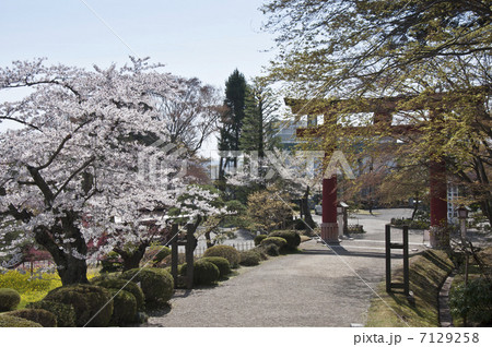 塩釜神社境内 7129258