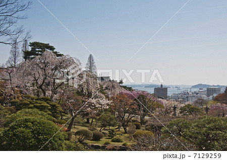 塩釜神社境内からの塩釜港 塩釜神社境内からの塩釜港 7129259