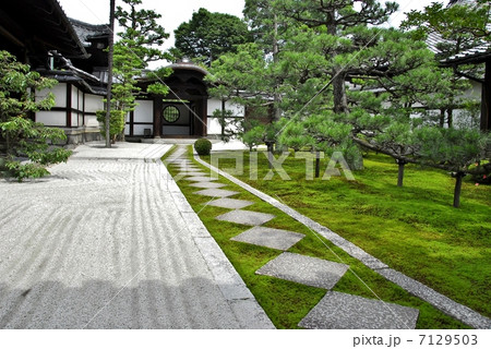 京都　両足院の半夏生庭園 7129503