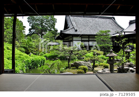 京都　両足院の半夏生庭園 7129505