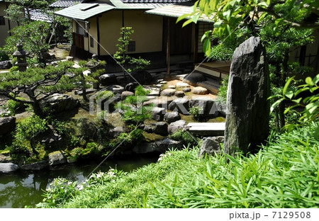 京都　両足院の半夏生庭園 7129508