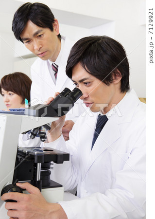 オフィス 7129921