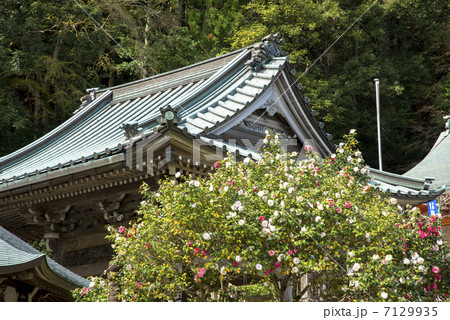 熊野三山の青岸渡寺 7129935