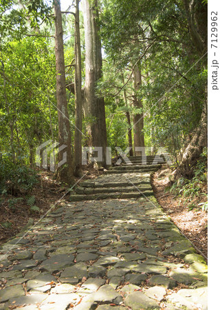 熊野古道大門坂 熊野古道大門坂 7129962