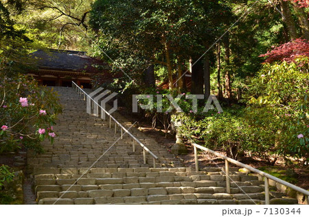 室生寺 7130344