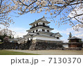 お城の桜 7130370