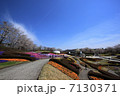 花咲く公園 7130371