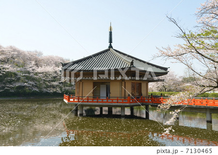 安倍文殊院 7130465