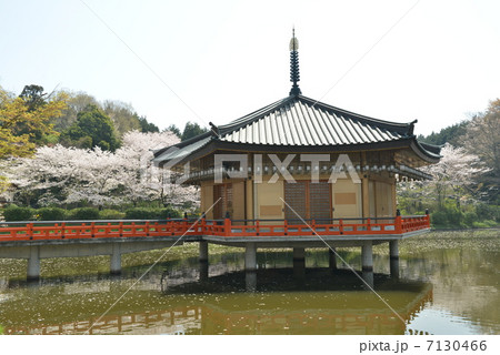 安倍文殊院 安倍文殊院 7130466