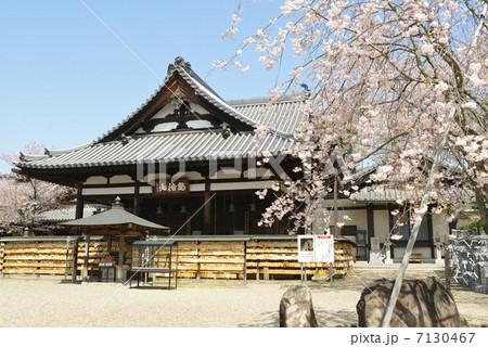 安倍文殊院本堂 7130467