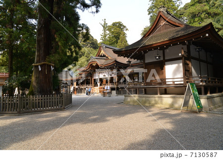 大神神社 大神神社 7130587