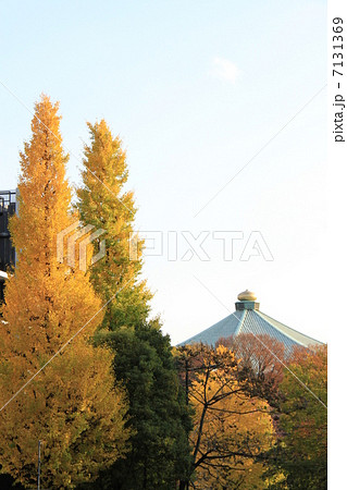 日本武道館 7131369