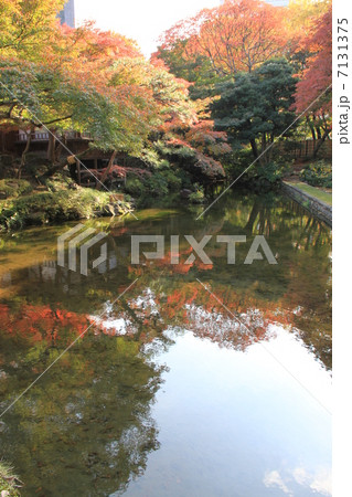 小石川後楽園 7131375