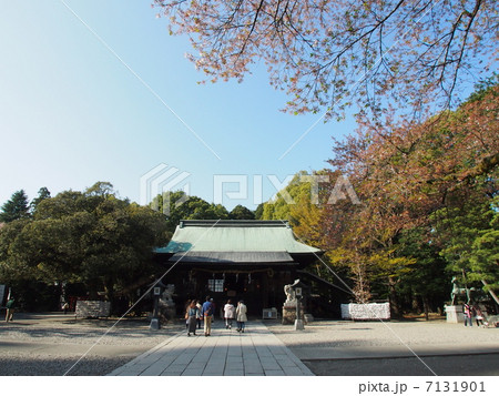 二荒山神社 7131901