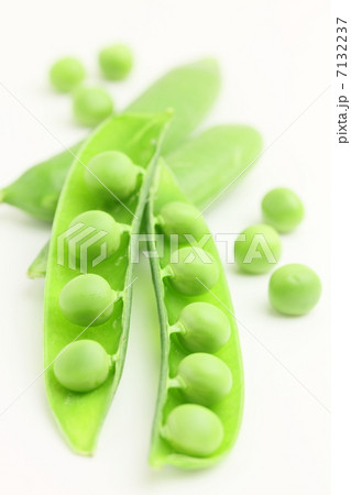 グリーンピース　野菜　豆 7132237