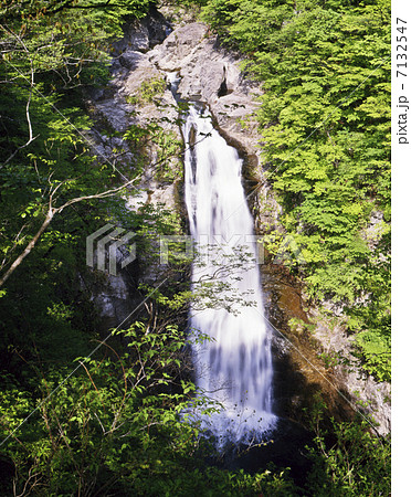 新緑の秋保大滝 新緑の秋保大滝 7132547