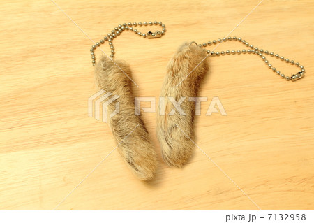 ラビッツ・フットのお守り 7132958