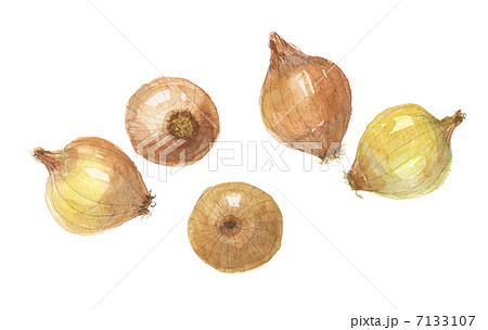 ペコロス ペコロス 7133107