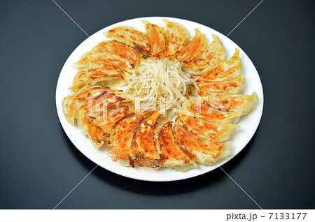 注意)焼き目はレタッチ合成。浜松餃子(円形焼き+もやし)スタイル。 注意)焼き目はレタッチ合成。浜松餃子(円形焼き+もやし)スタイル。 7133177