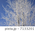 雪景色 7133201