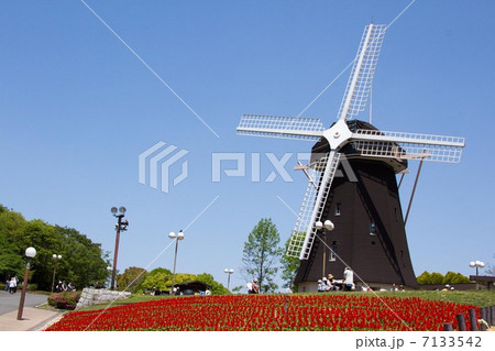 鶴見緑地公園の風車 鶴見緑地公園の風車 7133542
