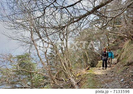 大峰大普賢岳登山 登山道 大峰大普賢岳登山 登山道 7133596