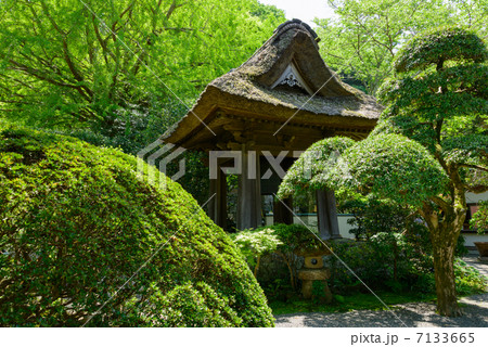 鐘楼　報国寺　鎌倉 7133665