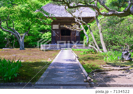 長寿寺　鎌倉 7134522